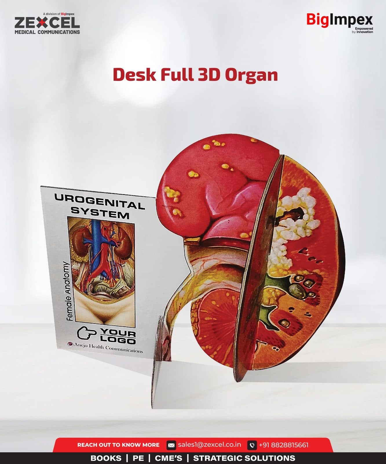 Desk Full 3D Organ (Anejo)