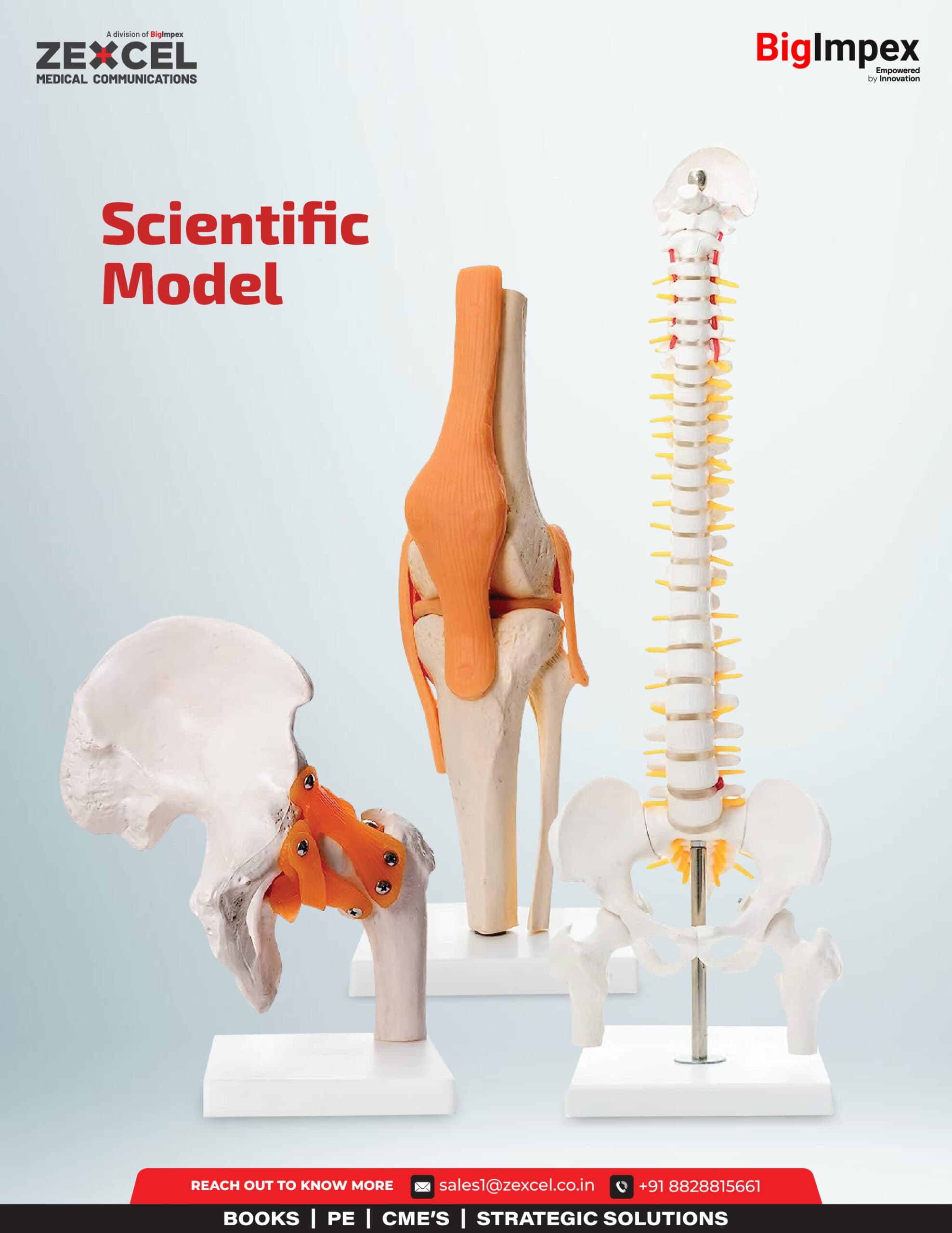 Scientific model