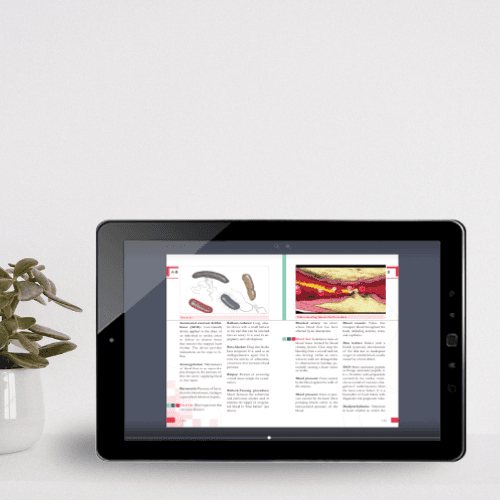 E-dictionary made for one of our prestigious client