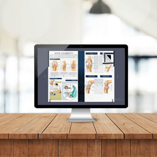 E Flipbook on Ligaments