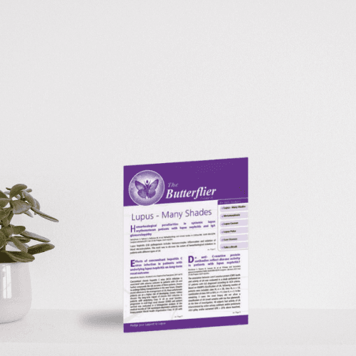 Newsletters - butterflier