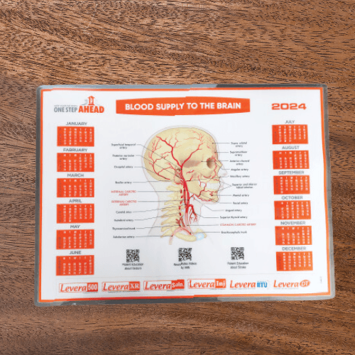 Khan International made PVC mat for our pharma client on blood supply to the brain